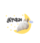 mimy ♪（個別スタンプ：5）
