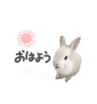 mimy ♪（個別スタンプ：6）