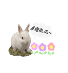 mimy ♪（個別スタンプ：7）