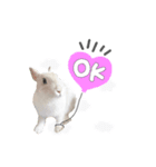 mimy ♪（個別スタンプ：8）
