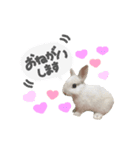 mimy ♪（個別スタンプ：9）