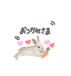 mimy ♪（個別スタンプ：11）