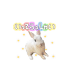 mimy ♪（個別スタンプ：13）
