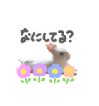 mimy ♪（個別スタンプ：16）