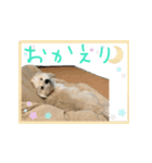 マル君のGOTO系（個別スタンプ：2）