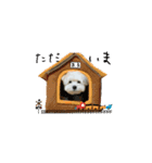 マル君のGOTO系（個別スタンプ：3）
