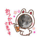 わんにゃんず3（個別スタンプ：4）