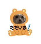 わんにゃんず3（個別スタンプ：9）