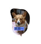 かりんのペット（個別スタンプ：8）