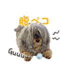 カヨカヨすたんぷ2（個別スタンプ：5）