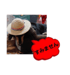 ダックス あんじゅ★一言★敬語（個別スタンプ：6）