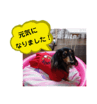 ダックス あんじゅ★一言★敬語（個別スタンプ：15）
