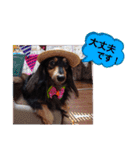 ダックス あんじゅ★一言★敬語（個別スタンプ：16）