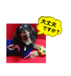 ダックス あんじゅ★一言★敬語（個別スタンプ：17）