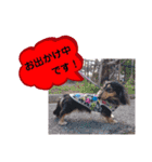 ダックス あんじゅ★一言★敬語（個別スタンプ：27）