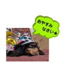 ダックス あんじゅ★一言★敬語（個別スタンプ：29）
