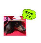 ダックス あんじゅ★一言★敬語（個別スタンプ：31）