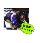 ダックス あんじゅ★一言★敬語（個別スタンプ：32）