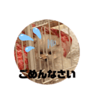 おこめみゅうきぬ（個別スタンプ：8）