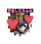 おこめみゅうきぬ（個別スタンプ：10）