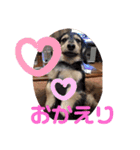 おこめみゅうきぬ（個別スタンプ：14）