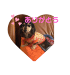 おこめみゅうきぬ（個別スタンプ：16）