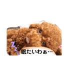 大中小のわんこたち（個別スタンプ：8）