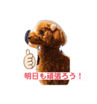 大中小のわんこたち（個別スタンプ：9）