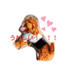 大中小のわんこたち（個別スタンプ：14）