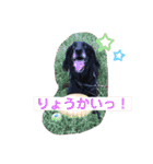 大中小のわんこたち（個別スタンプ：18）