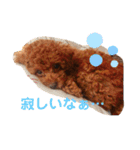 大中小のわんこたち（個別スタンプ：24）
