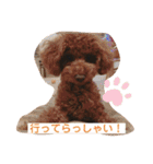 大中小のわんこたち（個別スタンプ：25）