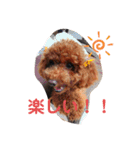 大中小のわんこたち（個別スタンプ：26）