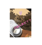 じゃじゃまると飼い主♂♀（個別スタンプ：8）