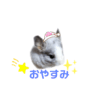 Matthew...（個別スタンプ：2）