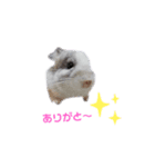 Matthew...（個別スタンプ：4）