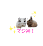 Matthew...（個別スタンプ：5）