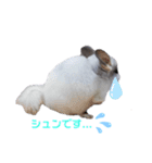 Matthew...（個別スタンプ：7）