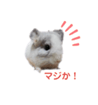 Matthew...（個別スタンプ：8）