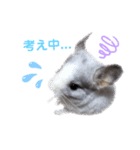 Matthew...（個別スタンプ：9）