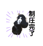 Matthew...（個別スタンプ：16）