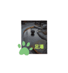 癒やしの温泉スタンプ（個別スタンプ：9）