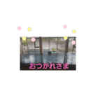 癒やしの温泉スタンプ（個別スタンプ：10）