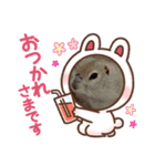 小太郎のいる生活（個別スタンプ：1）