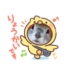 小太郎のいる生活（個別スタンプ：3）