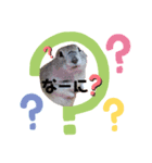 小太郎のいる生活（個別スタンプ：5）