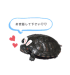 シゲちゃんのスタンプ（個別スタンプ：8）