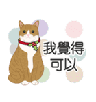 Meow Le！クリスマス！（個別スタンプ：12）