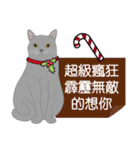 Meow Le！クリスマス！（個別スタンプ：15）