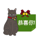 Meow Le！クリスマス！（個別スタンプ：19）